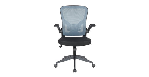 Newton Mesh Ergonomic Office Chair Adjustable Height with Flip Armrest