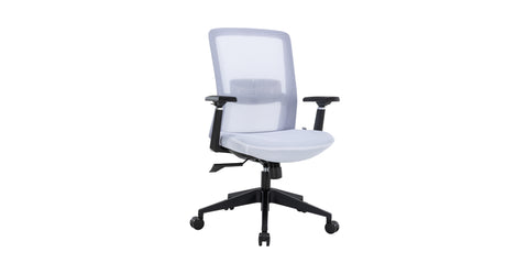 Ingram Ergonomic Modern Office Mesh Task Chair With Adjustable Height