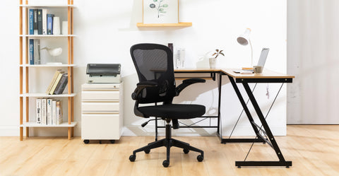 Newton Mesh Ergonomic Office Chair Adjustable Height with Flip Armrest