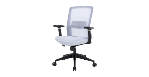 Ingram Ergonomic Modern Office Mesh Task Chair With Adjustable Height