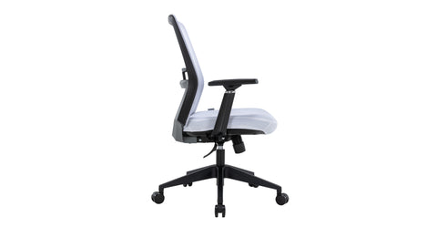 Ingram Ergonomic Modern Office Mesh Task Chair With Adjustable Height