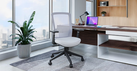 Ingram Ergonomic Modern Office Mesh Task Chair With Adjustable Height