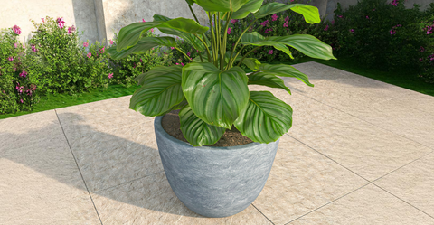 Dahlia Modern Fiberstone and MgO Clay Planter Pot for Indoor and Outdoor 14 Inch / Aged Concrete