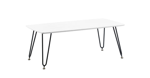 Elmwood Rectangular Coffee Table with Ash Wood Tabletop in Iron White