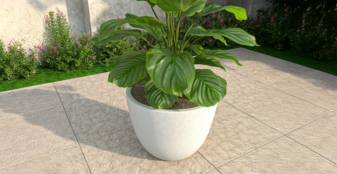 Dahlia Modern Fiberstone and MgO Clay Planter Pot for Indoor and Outdoor